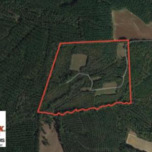 Photo of UNDER CONTRACT!  60 Acres of Farm and Timber Land For Sale in Halifax County NC!