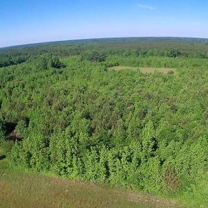 Photo of UNDER CONTRACT!  60 Acres of Farm and Timber Land For Sale in Halifax County NC!