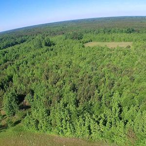 Photo of UNDER CONTRACT!  60 Acres of Farm and Timber Land For Sale in Halifax County NC!