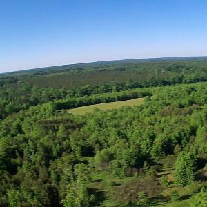 Photo of UNDER CONTRACT!  60 Acres of Farm and Timber Land For Sale in Halifax County NC!