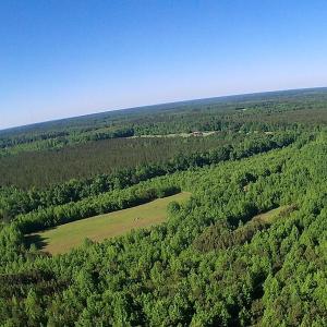 Photo of UNDER CONTRACT!  60 Acres of Farm and Timber Land For Sale in Halifax County NC!