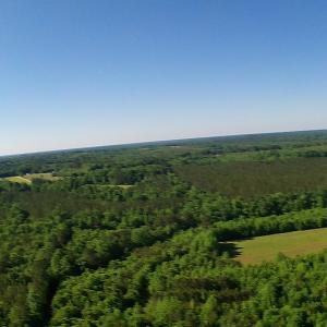 Photo of UNDER CONTRACT!  60 Acres of Farm and Timber Land For Sale in Halifax County NC!