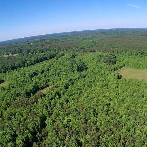Photo of UNDER CONTRACT!  60 Acres of Farm and Timber Land For Sale in Halifax County NC!