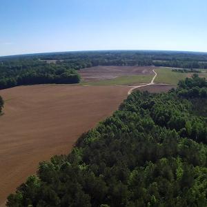 Photo of UNDER CONTRACT!  60 Acres of Farm and Timber Land For Sale in Halifax County NC!