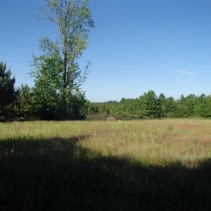 Photo of UNDER CONTRACT!  60 Acres of Farm and Timber Land For Sale in Halifax County NC!