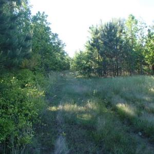 Photo of UNDER CONTRACT!  60 Acres of Farm and Timber Land For Sale in Halifax County NC!