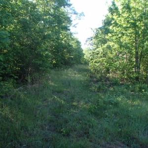 Photo of UNDER CONTRACT!  60 Acres of Farm and Timber Land For Sale in Halifax County NC!