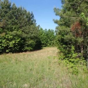 Photo of UNDER CONTRACT!  60 Acres of Farm and Timber Land For Sale in Halifax County NC!