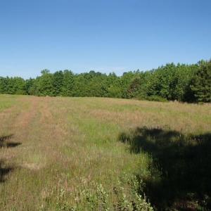Photo of UNDER CONTRACT!  60 Acres of Farm and Timber Land For Sale in Halifax County NC!