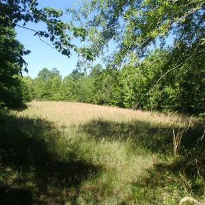 Photo of UNDER CONTRACT!  60 Acres of Farm and Timber Land For Sale in Halifax County NC!