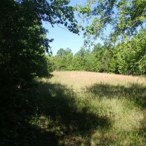 Photo of UNDER CONTRACT!  60 Acres of Farm and Timber Land For Sale in Halifax County NC!