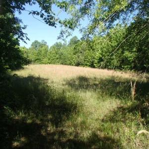 Photo of UNDER CONTRACT!  60 Acres of Farm and Timber Land For Sale in Halifax County NC!