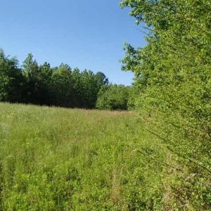 Photo of UNDER CONTRACT!  60 Acres of Farm and Timber Land For Sale in Halifax County NC!