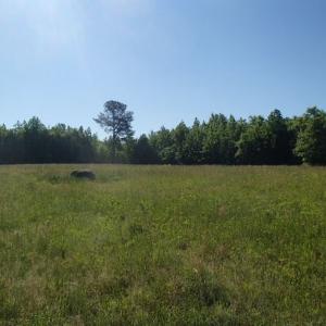 Photo of UNDER CONTRACT!  60 Acres of Farm and Timber Land For Sale in Halifax County NC!