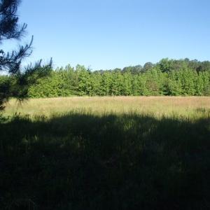 Photo of UNDER CONTRACT!  60 Acres of Farm and Timber Land For Sale in Halifax County NC!