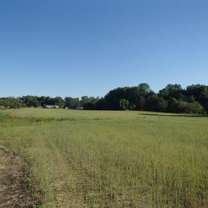 Photo of UNDER CONTRACT!  15 Acres of Farm Land For Sale in Nash County NC!