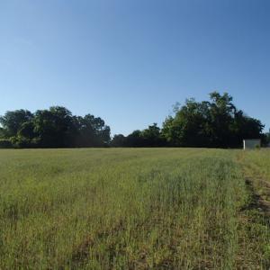 Photo of UNDER CONTRACT!  15 Acres of Farm Land For Sale in Nash County NC!