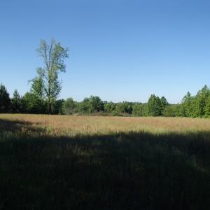 Photo of UNDER CONTRACT!  15 Acres of Farm Land For Sale in Nash County NC!