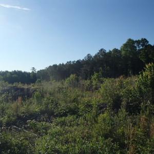 Photo of UNDER CONTRACT!  10 Acres of Residential Hunting Land For Sale in Nash County