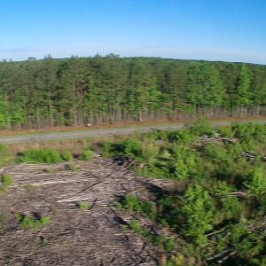 Photo of UNDER CONTRACT!  10 Acres Residential Hunting Land For Sale in Nash County NC!