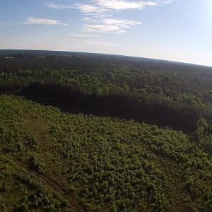 Photo of UNDER CONTRACT!  10 Acres Residential Hunting Land For Sale in Nash County NC!
