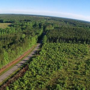 Photo of UNDER CONTRACT!  10 Acres Residential Hunting Land For Sale in Nash County NC!