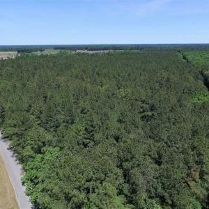 Photo of SOLD!!  8.84 Acres of Residential Land For Sale in Dinwiddie County VA!