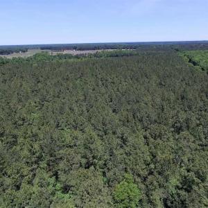 Photo of SOLD!!  8.84 Acres of Residential Land For Sale in Dinwiddie County VA!