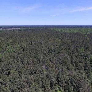 Photo of SOLD!!  8.84 Acres of Residential Land For Sale in Dinwiddie County VA!