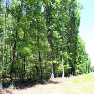 Photo of SOLD!!  8.84 Acres of Residential Land For Sale in Dinwiddie County VA!