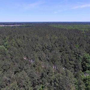 Photo of SOLD!!  8.84 Acres of Residential Land For Sale in Dinwiddie County VA!