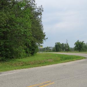 Photo of SOLD!  57 Acres of Timber Land for Sale in Columbus County NC!