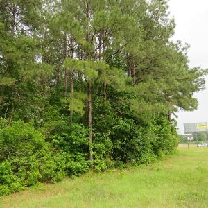 Photo of SOLD!  57 Acres of Timber Land for Sale in Columbus County NC!