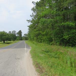 Photo of SOLD!  57 Acres of Timber Land for Sale in Columbus County NC!