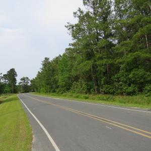 Photo of SOLD!  57 Acres of Timber Land for Sale in Columbus County NC!