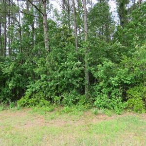 Photo of SOLD!  57 Acres of Timber Land for Sale in Columbus County NC!