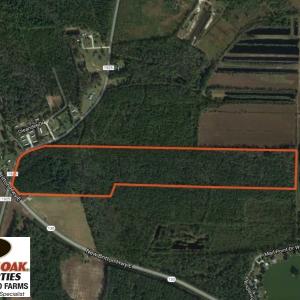 Photo of SOLD!  57 Acres of Timber Land for Sale in Columbus County NC!