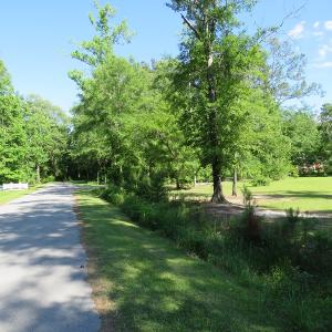 Photo of SOLD!  Residential Lot for Sale in Columbus County NC!