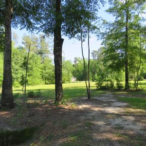 Photo of SOLD!  Residential Lot for Sale in Columbus County NC!
