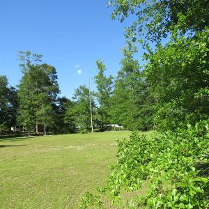 Photo of SOLD!  Residential Lot for Sale in Columbus County NC!