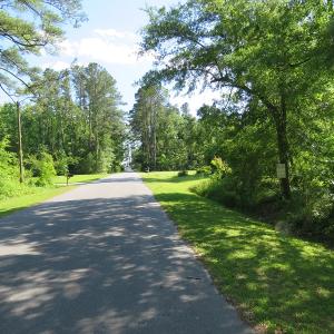 Photo of SOLD!  Residential Lot for Sale in Columbus County NC!