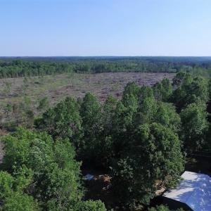 Photo of UNDER CONTRACT!  42 Acres of Residential and Recreational Land For Sale in Charlotte County VA!
