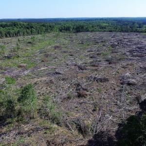 Photo of UNDER CONTRACT!  42 Acres of Residential and Recreational Land For Sale in Charlotte County VA!