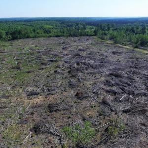 Photo of UNDER CONTRACT!  42 Acres of Residential and Recreational Land For Sale in Charlotte County VA!