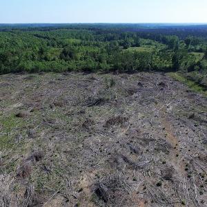 Photo of UNDER CONTRACT!  42 Acres of Residential and Recreational Land For Sale in Charlotte County VA!