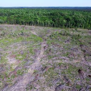 Photo of UNDER CONTRACT!  42 Acres of Residential and Recreational Land For Sale in Charlotte County VA!