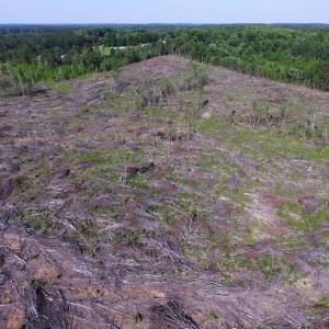 Photo of UNDER CONTRACT!  42 Acres of Residential and Recreational Land For Sale in Charlotte County VA!