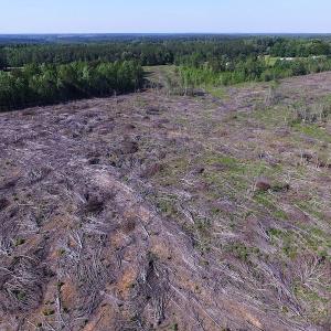 Photo of UNDER CONTRACT!  42 Acres of Residential and Recreational Land For Sale in Charlotte County VA!