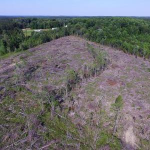 Photo of UNDER CONTRACT!  42 Acres of Residential and Recreational Land For Sale in Charlotte County VA!