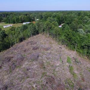 Photo of UNDER CONTRACT!  42 Acres of Residential and Recreational Land For Sale in Charlotte County VA!